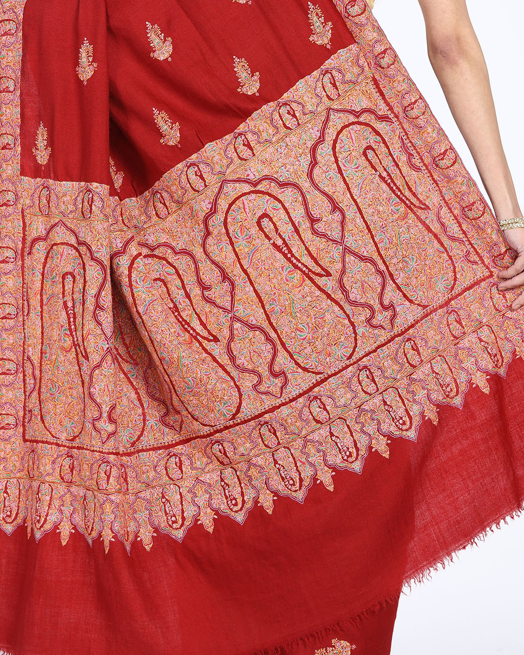 Pashmina Saree with Embroidery - Image 4